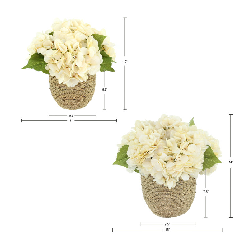 Arrangements floraux d'hortensias d'automne Carytown, Crème, crème