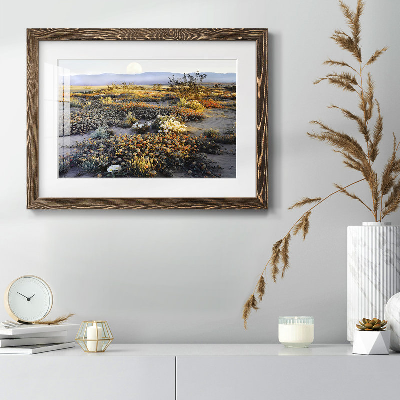 Anza Borrego Desert, reproduction d'art encadrée, H 26 po x l 38 po x P 1,5 po, Noyer