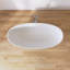 Baignoire de trempage autoportante 65 po. X 30 po.-100234061