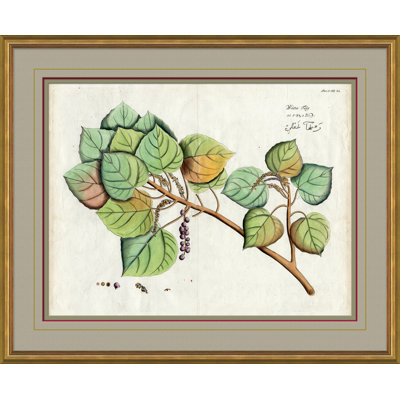«Malaberica Leaves in Color 6» - Cadre photo, impression sur papier