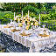 Dreamweaver Placemat-1121738910