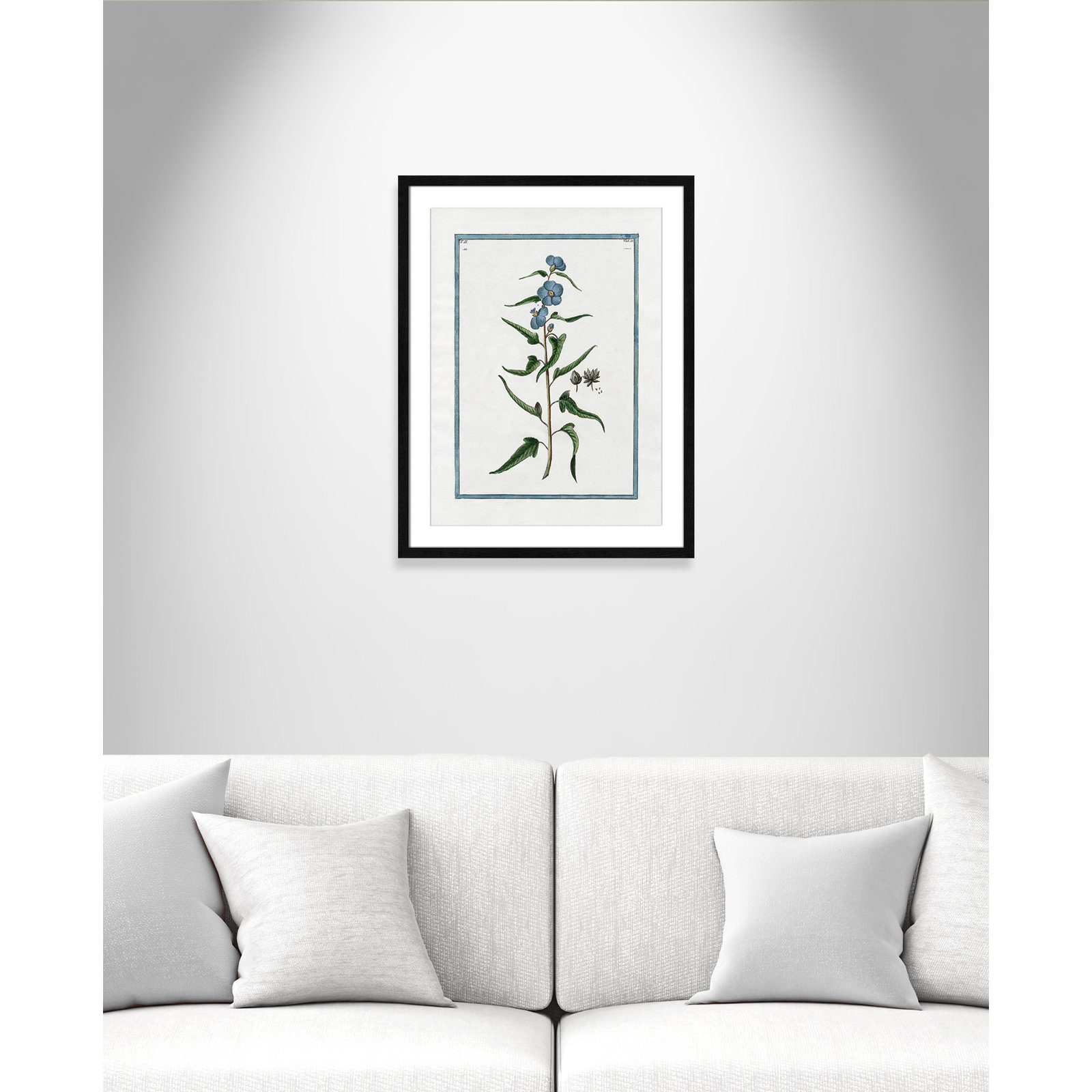 Colombe "Shabby Elegance Botanical I" Print, Black Framed, 17" W x 23" H