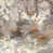 Plexi