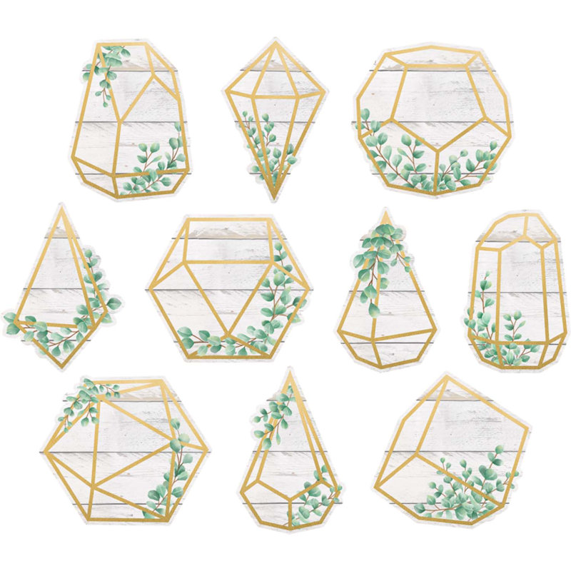 Eucalyptus décoratifs de terrariums géométriques