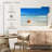 Gillard Starfish Shoreline-108733643