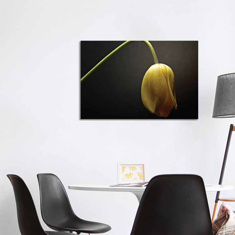Studio Flowers IX 1 Piece Wrapped Canvas Wall Art, 101.6 cm H x 66.04 cm W x 1.91 cm D