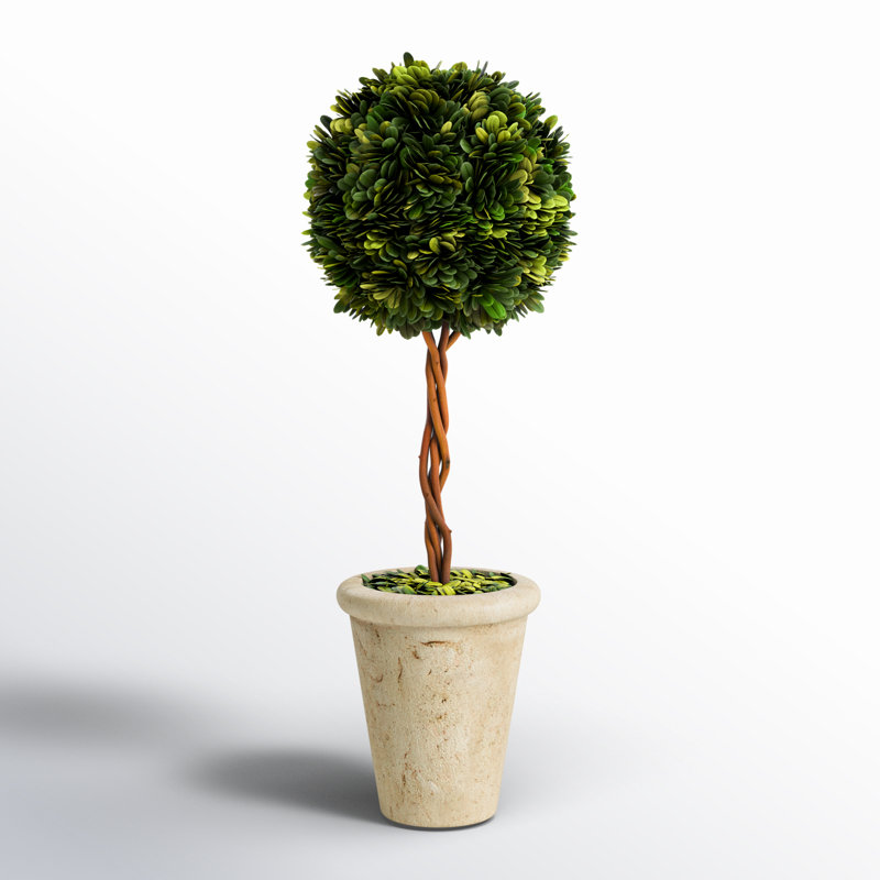Preserved Greens 23.25" Single Ball Topiary, 18.5" H x 6.25" W x 6.25" D