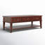Samira Single Coffee Table with Storage-2044912513
