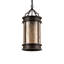 Wyant 1 - Light Pendant