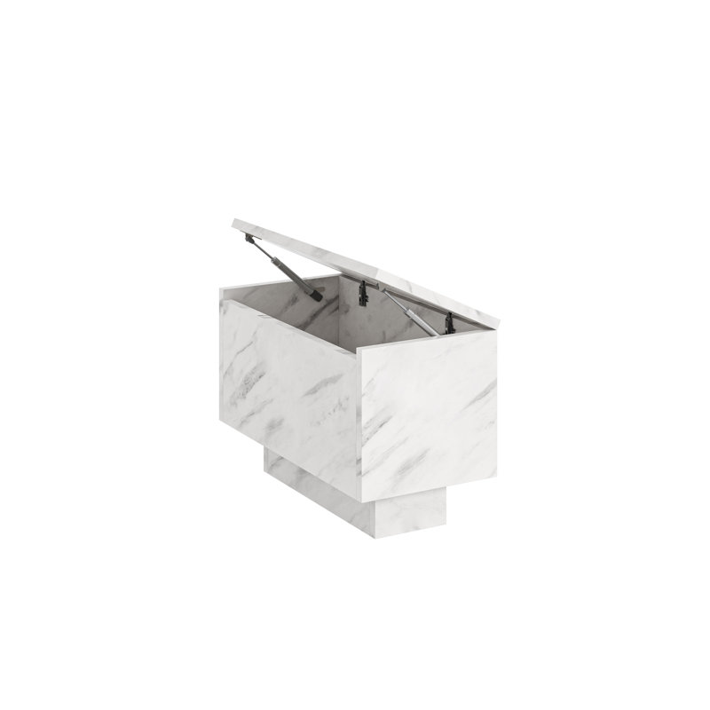 Coffee Table Caoilainn with Storage Compartments, White, 40cm H x 30cm L x 60cm W