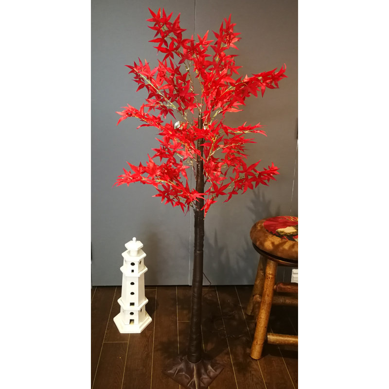 Arbre lumineux pour érable pré-éclairé japonais