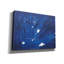«Indigo Burst II» par Regina Moore-1547388721