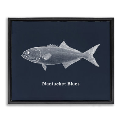 Cadre flottant Nantucket Blues Fish, design par Phillipa Katz