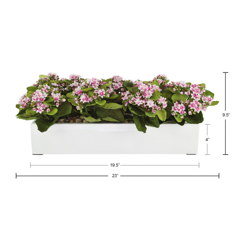 Kalanchoe Arrangement in Fiberstone Planter, Purple/White, 9.5" H x 23" W x 9.5" D
