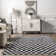 Dominique Abstract Checkered Fringe Area Rug