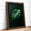 Single Monstera Leaf Botanical - Framed Print-1652251880-1652251892