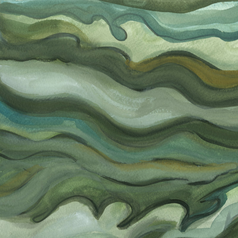 Sea Kelp I - Wrapped Canvas Painting, 30cm H x 30cm W