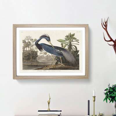 Louisiana Heron by John Audubon - Picture Frame Painting Print on MDF