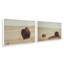 Ensemble de 2 bisons des prairies-516914446-516914448-526938177