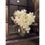 Orchid Arrangement in Vase