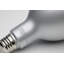 15 Watt Silver Bulb