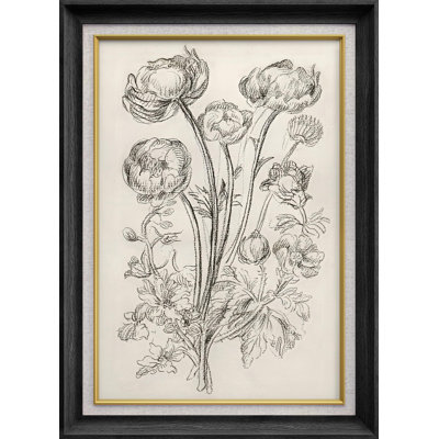 Rustic Sketch " Wildflower Lily Poppy Botanical Nature Wilderness "