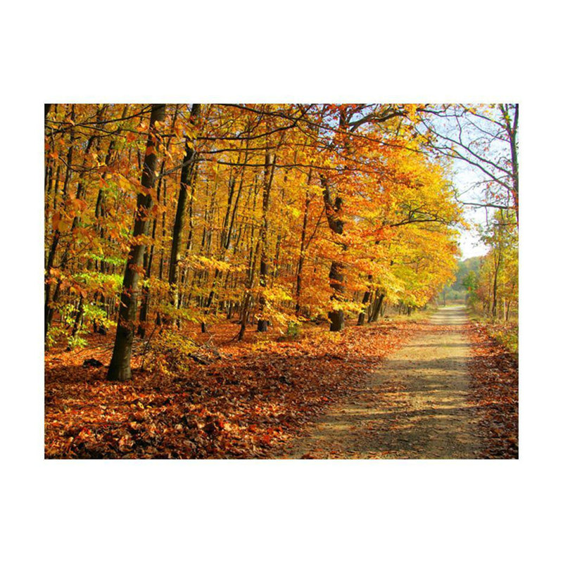 Darcy-Louise Wall Mural, 121" L x 157" W