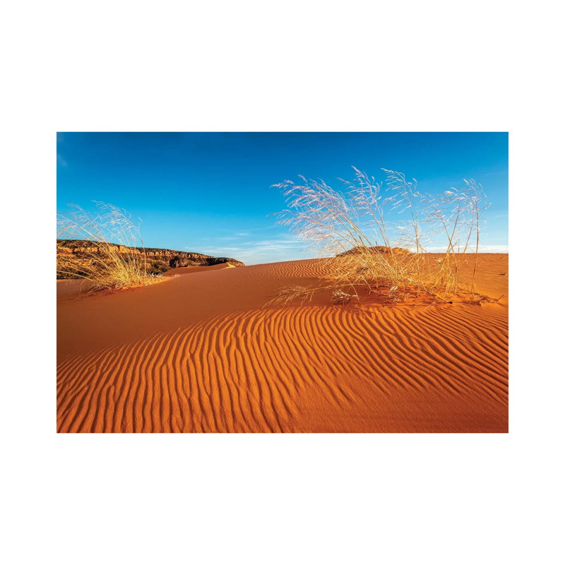 Sand dunes and grass, Coral Pink Sand Dunes State Park, Kane County, Utah, USA. 1 Piece Wrapped Canvas Wall Art