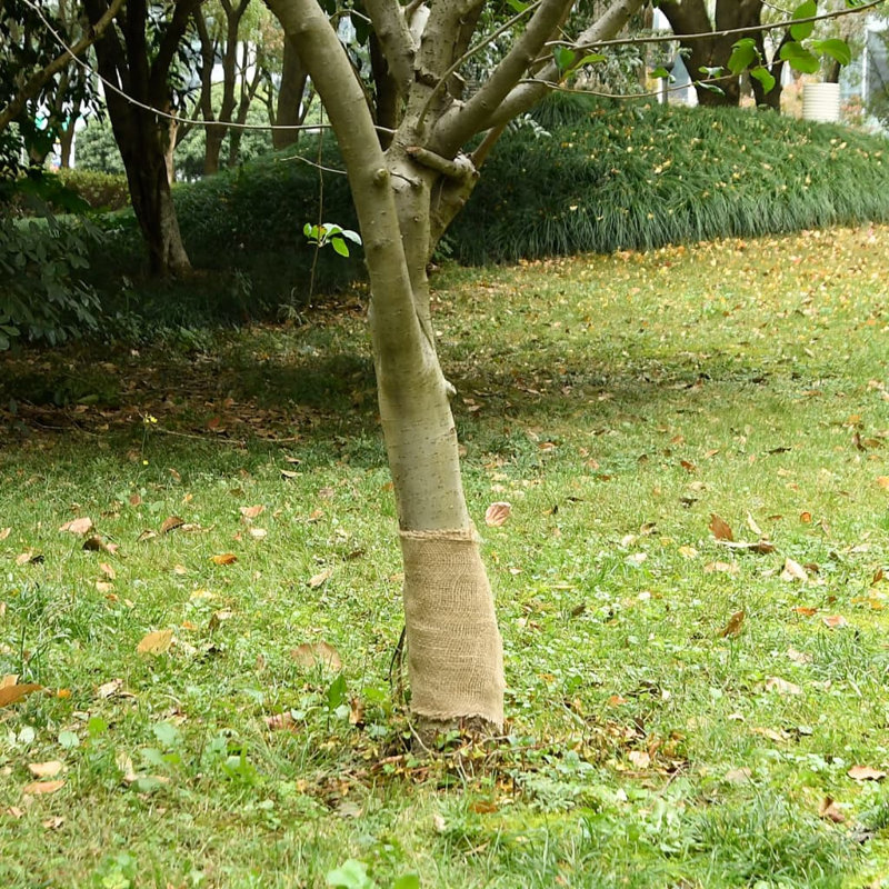 Bay Isle Home Plant Tie, 5000cm L x 25cm W