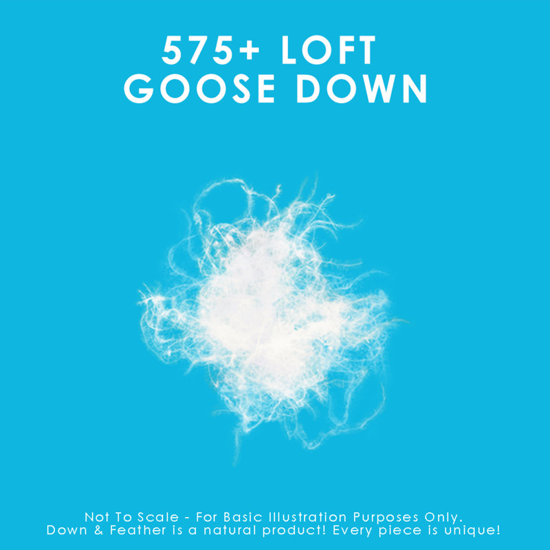 575 Fill Power Regular Goose Down Comforter, Twin