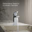 Robinet de lavabo de salle de bain à poignée simple Honesty, 1,0 gal / min