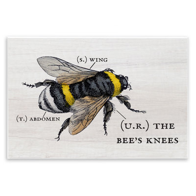 Anatomy of Honey Bee Pun Charming Bee's Knees by Daphne Polselli - Graphic Art Print