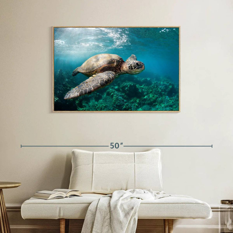 Maui Turtle, Floating Frame Natural Wood, 40" X 27"