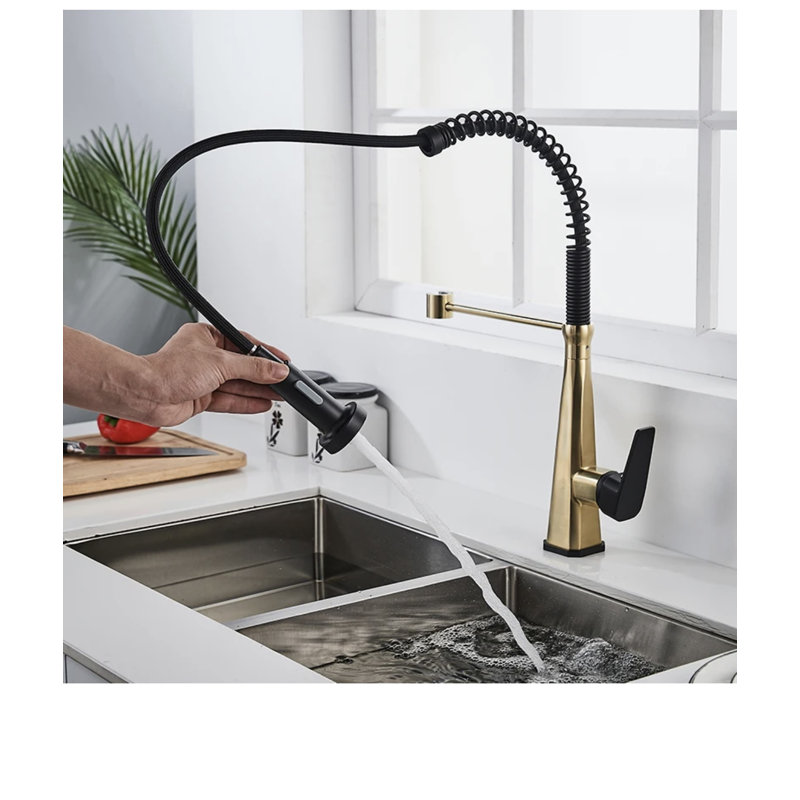 Robinet de cuisine à poignée simple avec douchette latérale Aquae Brant, Or brossé / noir mat