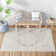 Shyann Oriental Light Gray Area Rug