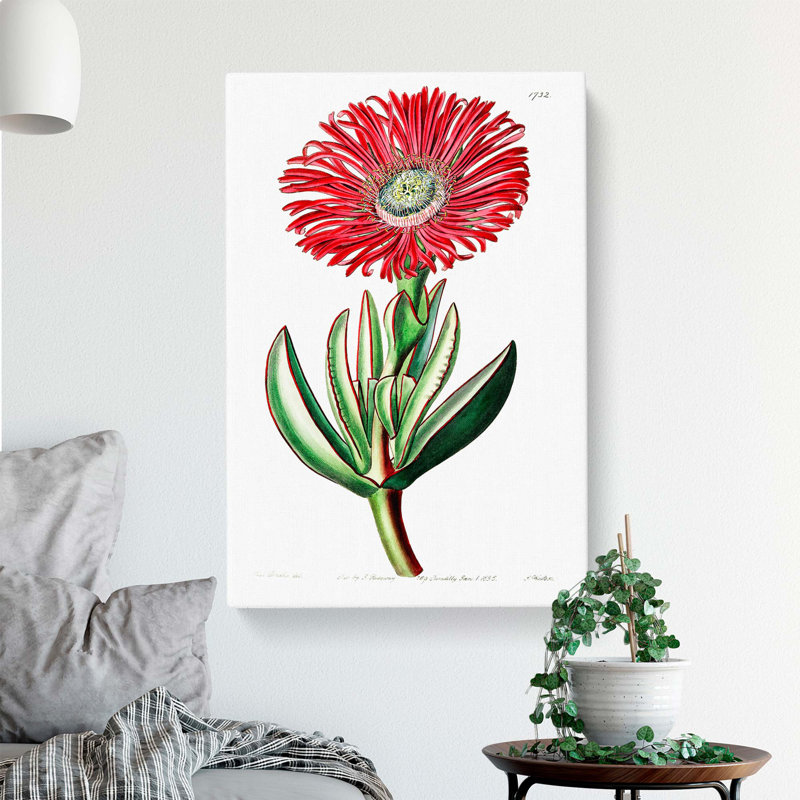 Marigold Flower - Wrapped Canvas Painting Print, 60cm H x 40cm W x 3cm D