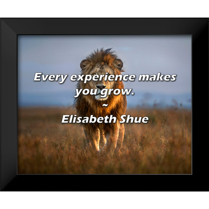 Elisabeth Shue Citation: Chaque expérience vous fait grandir.