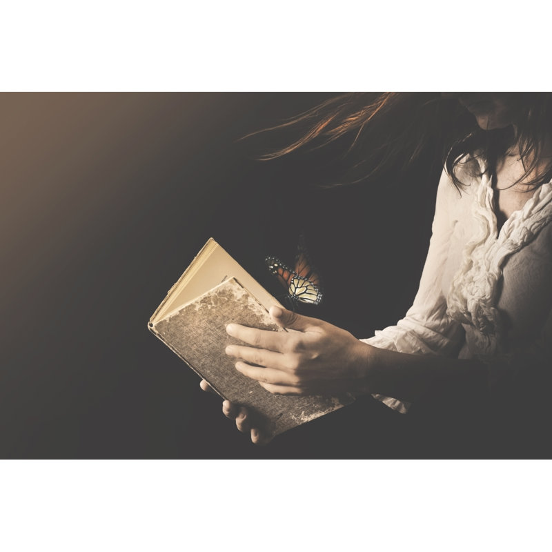 Woman Reading Book by Fcscafeine - Wrapped Canvas Print, 20cm H x 30cm W