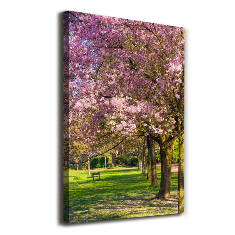Cherry Trees - Wrapped Canvas Print