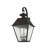 Pineville Wall Light-616744851