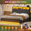Lit plateforme tapissier avec rangement-2123769636