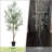 6FT Faux Olive Tree With Fruit And Realistic Leaves For Home Decor-1148567851