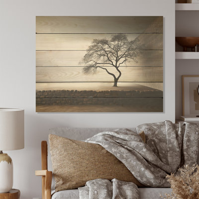 Minimalisme, photographie d'arbre en bois sur bois de pin naturel