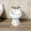 Robinet de bidet vertical à trois poignées Duchess
