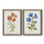 «Botanical I», ensemble de 2 reproductions d'art-271774453-271774482-271774445