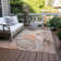 Eliessia Indoor/Outdoor Area Rug with Non-Slip Backing