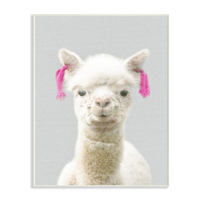 « jolie little alpaca », reproduction d’art sur toile pinktails, H 15 po x l 10 po, Sans cadre