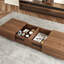 Table basse moderne avec grand rangement