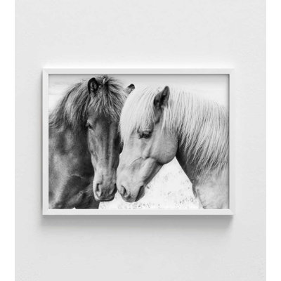 Wild Horses Companions – Black & White Equine Art Print