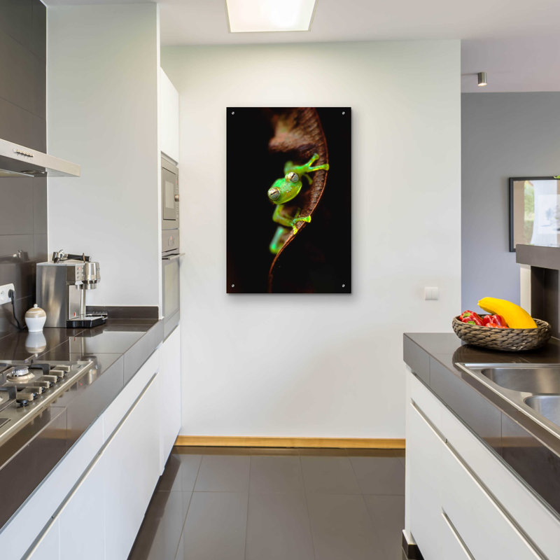 «Portrait de grenouille» par Thomas Haney, H 36 po x l 24 po x P 0,2 po